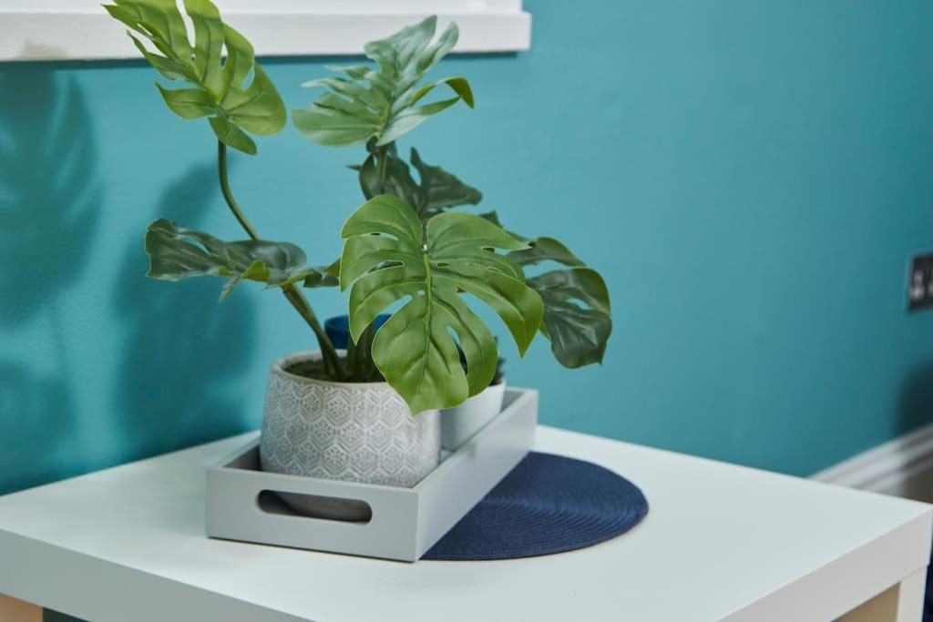 Beautiful Central Apartment レミントンスパー エクステリア 写真